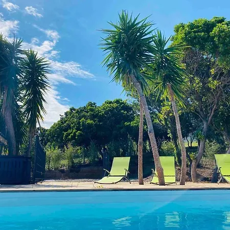 Apartament T2 Querciu Vue Avec Piscine. *
